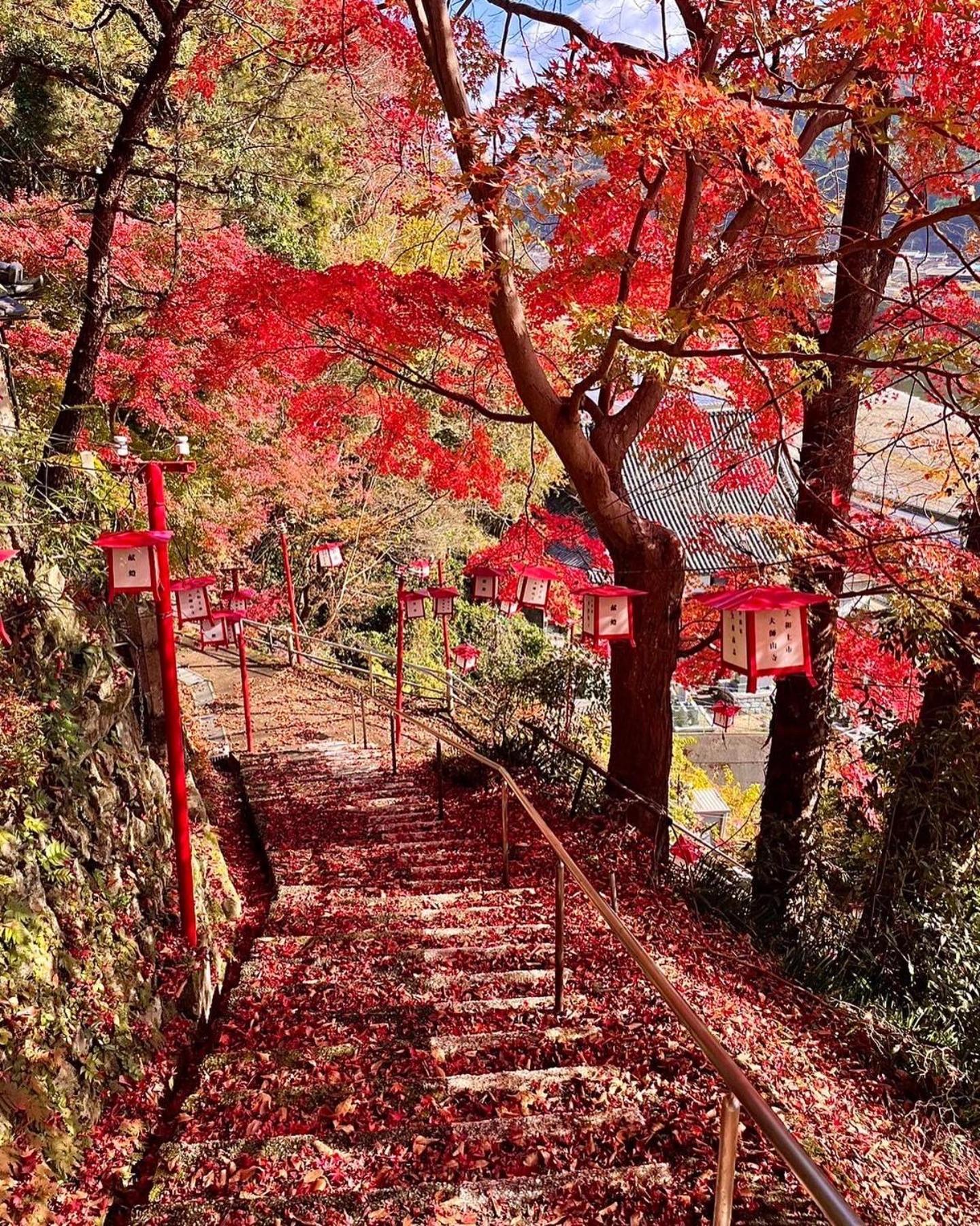 えん吉野絶景広がる隠れ家1棟貸切ペットokサウナ室完備 Villa Yoshino  Exterior photo